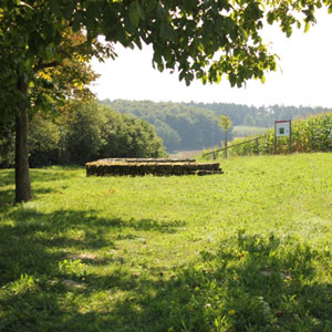 Limes Wanderung – Von Walldürn zum Kleinkastell Haselburg