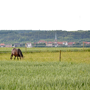 Geopfad Zeitgeschichte in Höpfingen