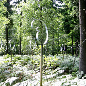 Umwege. Waldprojekt im Waldgebiet Honert bei Hardheim