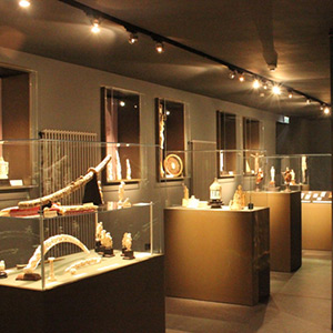 Elfenbeinmuseum Walldürn