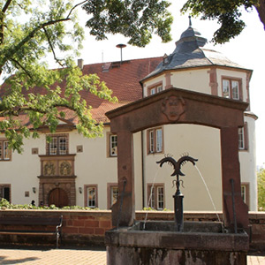 Hardheimer Schloss