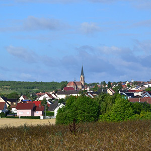 Ortsportrait Höpfingen