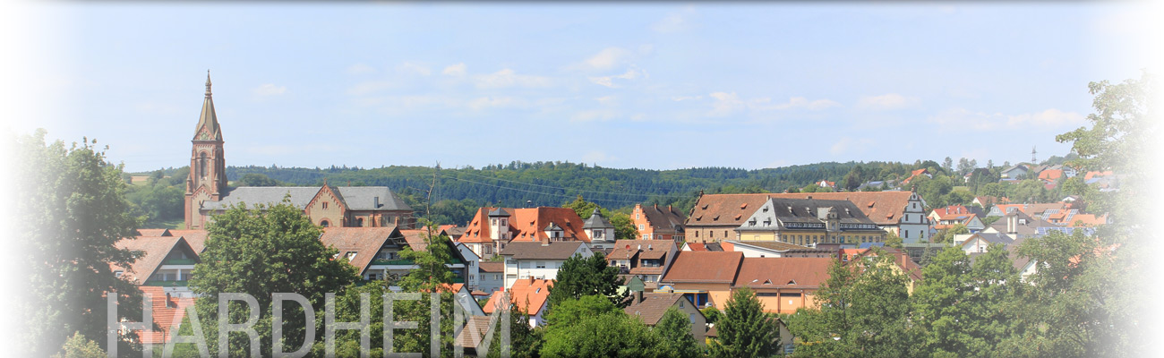 Blick über die Gemeinde Hardheim