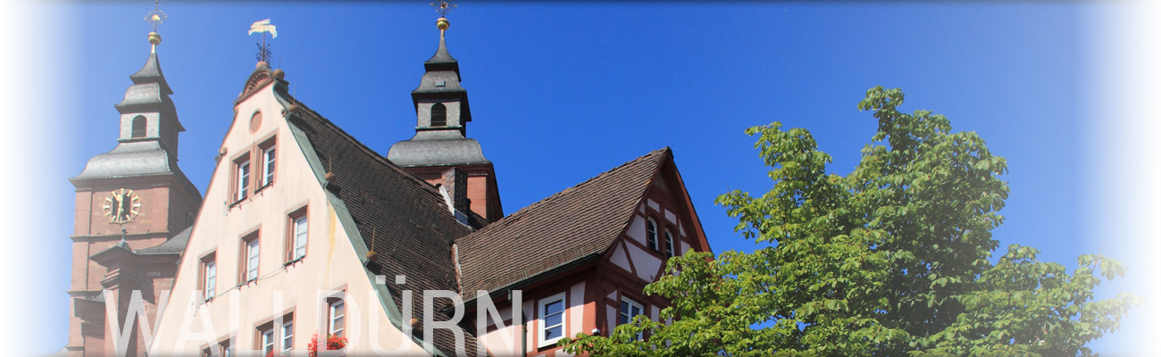 Blick auf die Walldürner Wallfahrtsbasilika