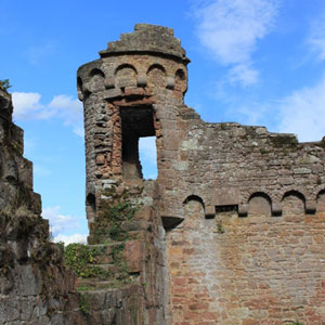 Burgruine der Wildenburg