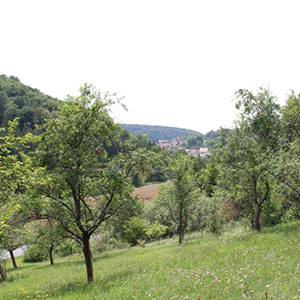 Waldstetten