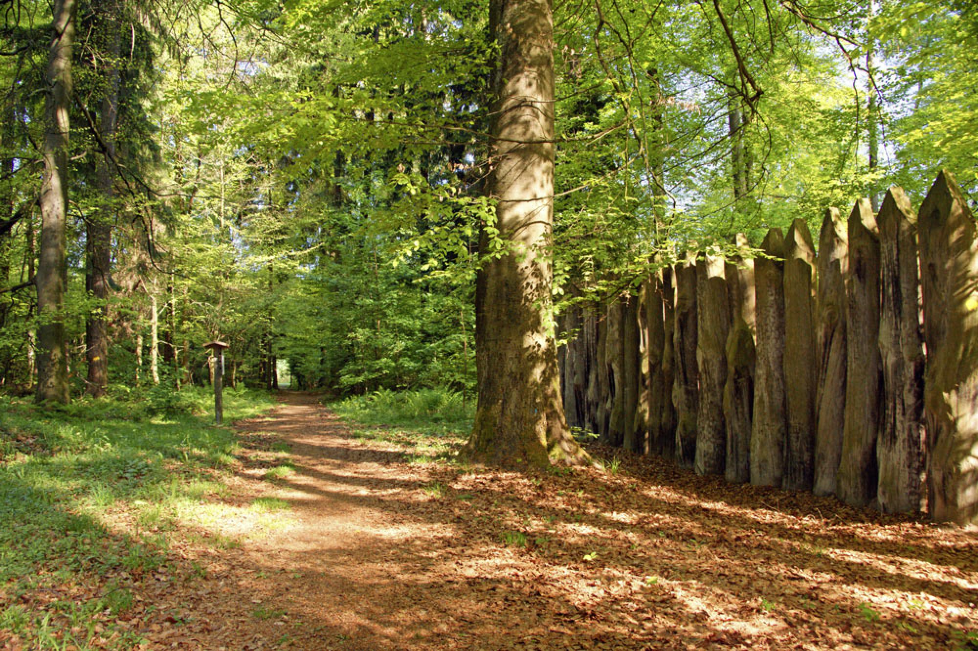Limeswanderweg