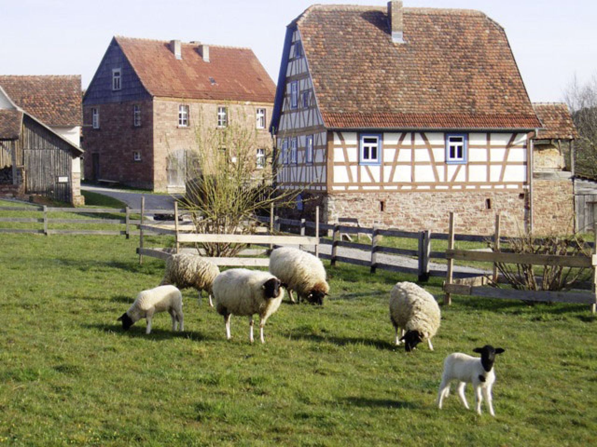 Gottersdorfer Freilandmuseum