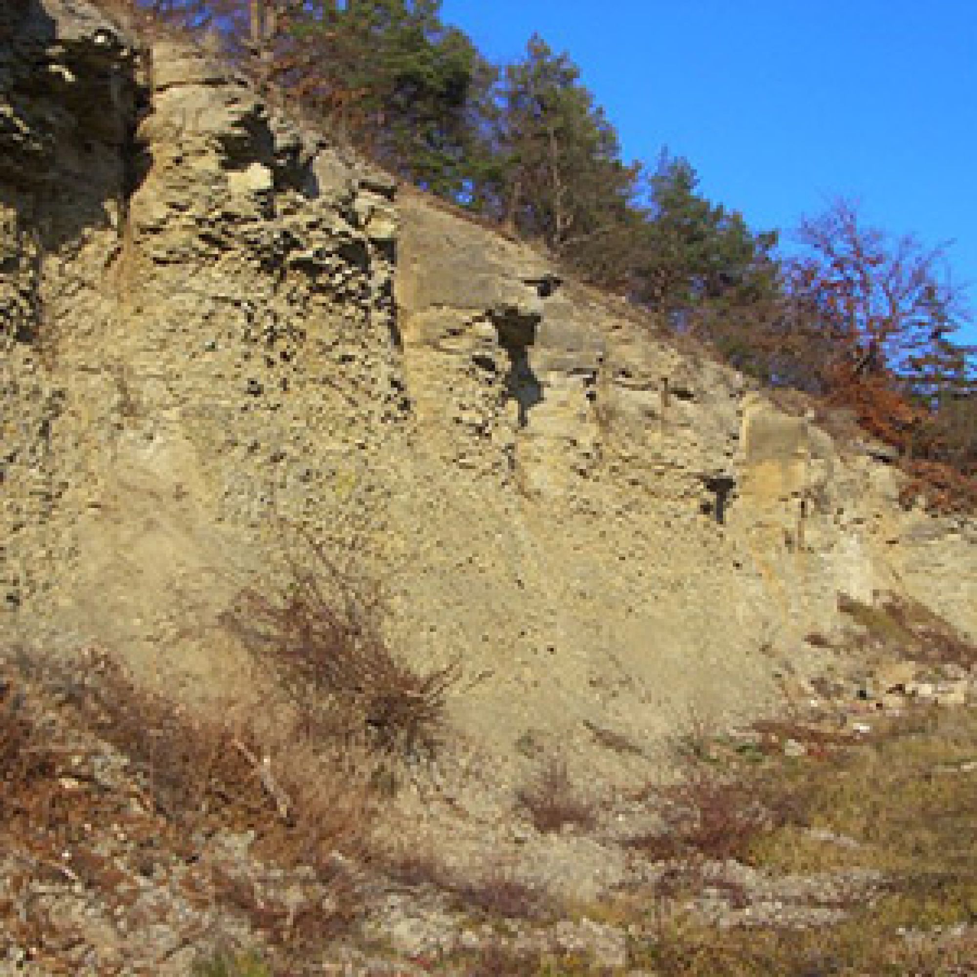 Muschelkalk